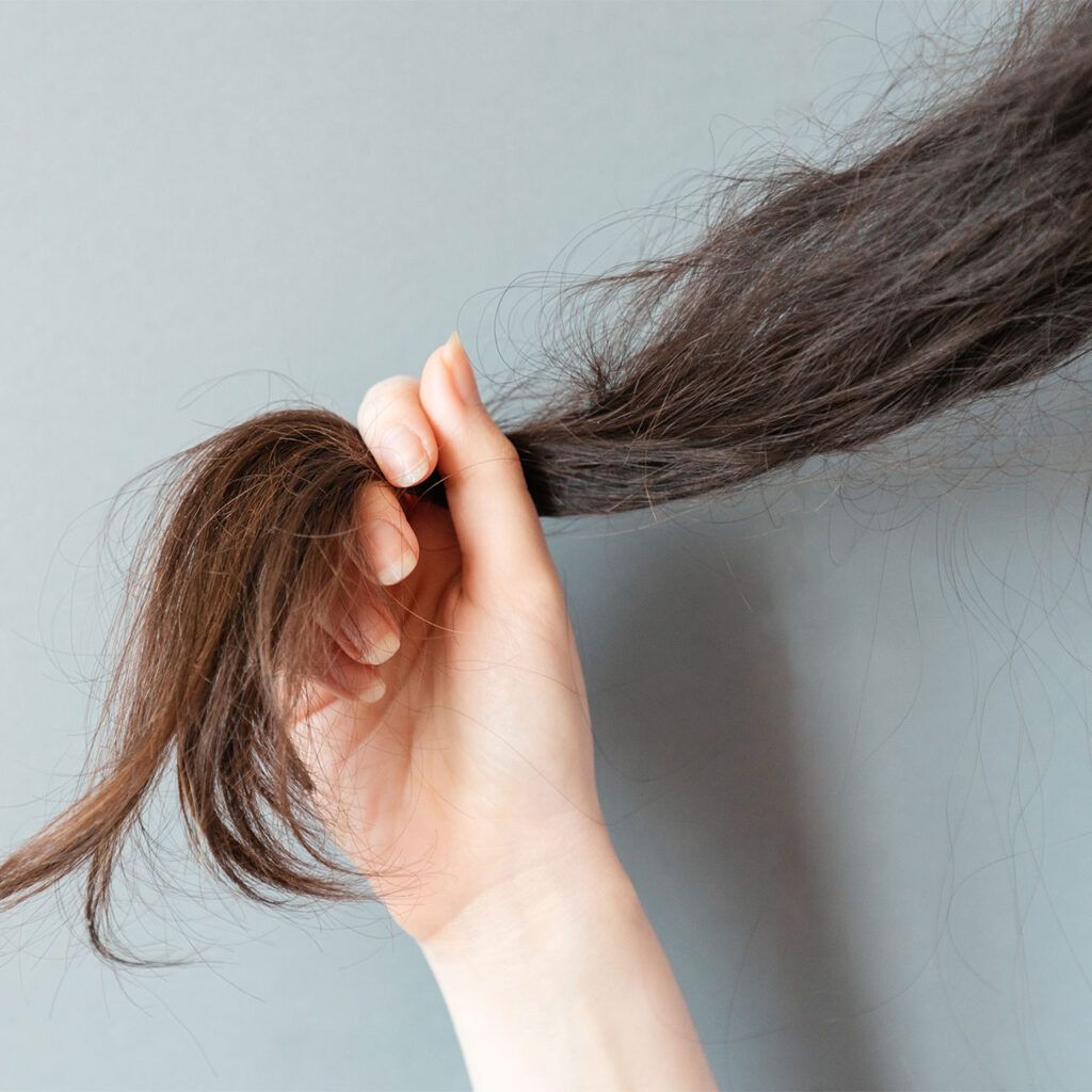 Hair Breakage vs Hair Loss